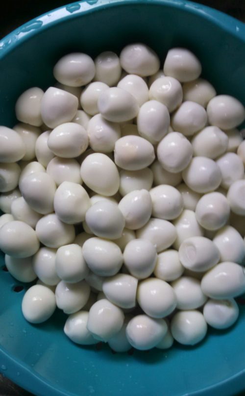 eggs